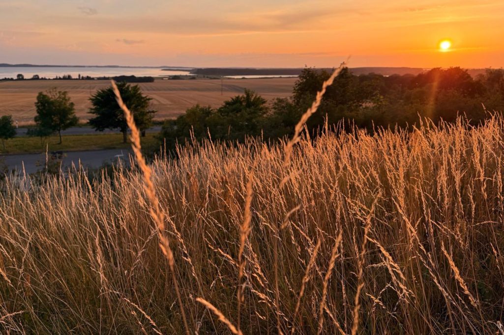 Boddenlandschaft Rügen